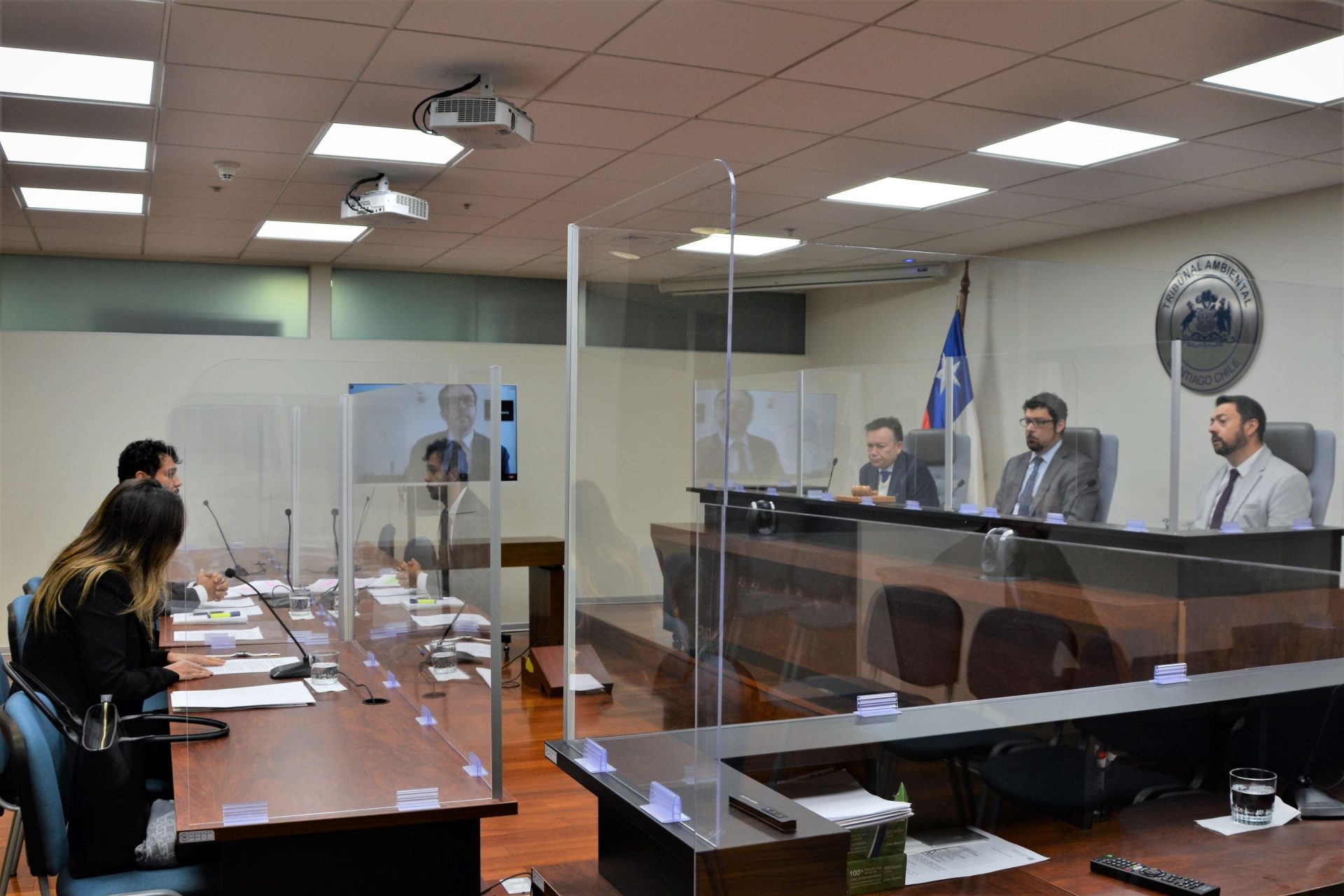 Tribunal realizó audiencia en reclamación de Consorcio Punta Puyai contra la declaratoria de humedal urbano en Papudo