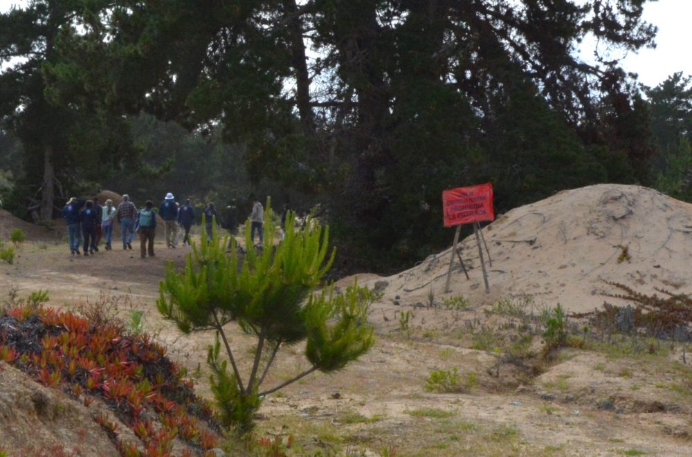 Analiza demanda por daño ambiental por extracción de áridos:  Tribunal inspeccionó sector del campo dunar de la comuna de El Tabo