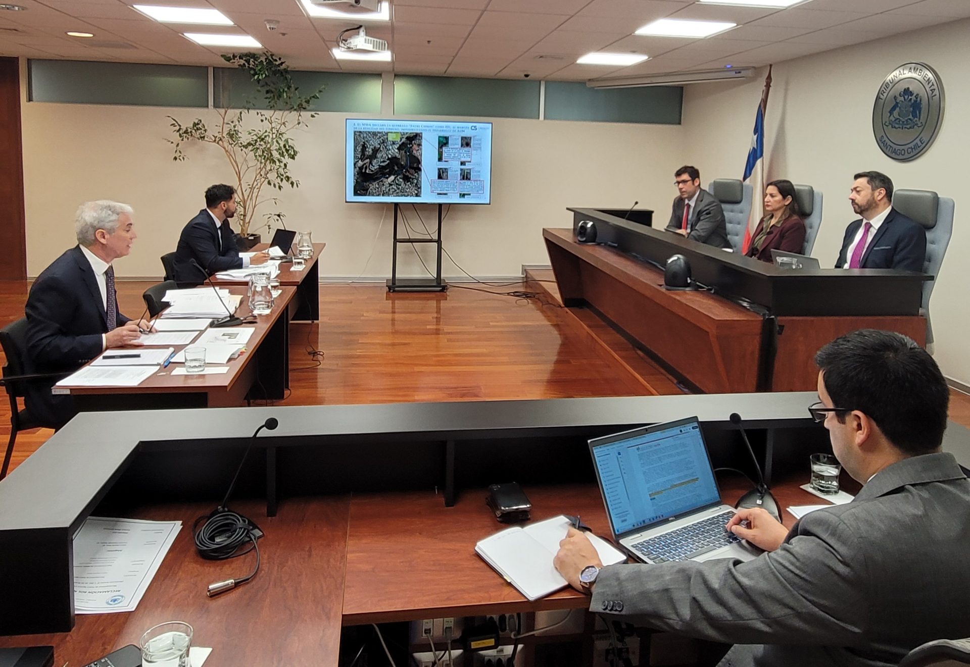 Tribunal realizó audiencia en reclamación de comité de vivienda de Viña del Mar que busca anular declaración de humedal urbano por impactar en sus terrenos