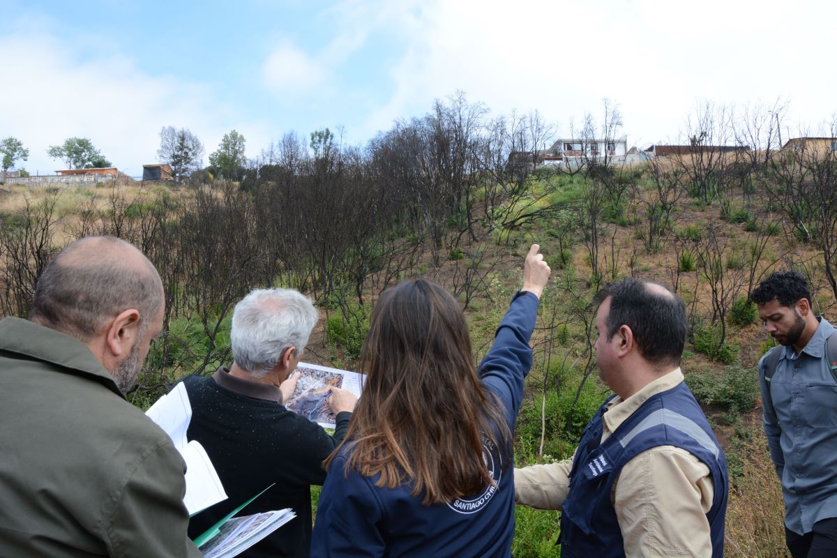 Tribunal inspeccionó Humedal Urbano Entre Cerros en Viña del Mar