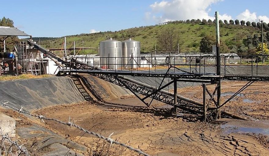 Tribunal rechazó reclamo de empresa de aceite de oliva que pretendía anular multa de $1.230 millones ordenada por la SMA