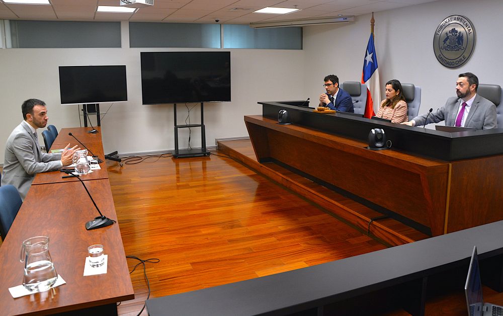 Particular solicita que el Tribunal ordene al SEA analizar debidamente las observaciones que realizó al proyecto de mejoramiento de la Ruta J-80 en la región del Maule