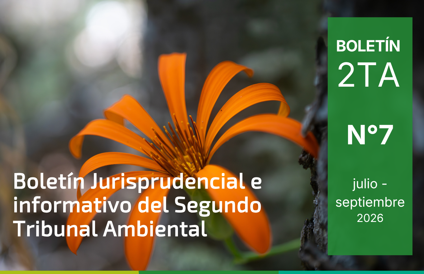 Boletín 2TA. N°7, julio- septiembre 2026